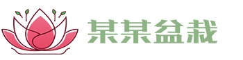 宝博·(中国区)有限公司官网